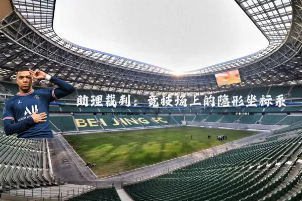 助理裁判:竞技场上的隐形坐标系
